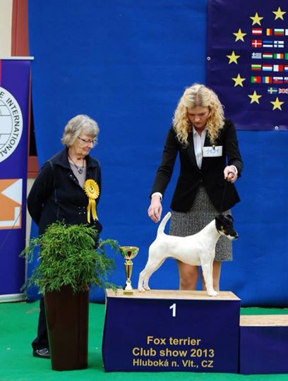 Foto: Moni winning Best of Breed at Czech Fox Terrier Club Show // 15.09.2013 
Judge: Mrs. Shirley Watson (UK) 
Moni is now Czech Champion and Czech Club Winner!
Photo: Iveta Novkov